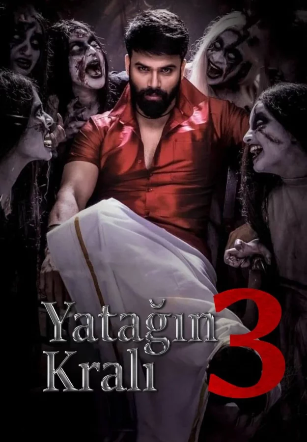 Raju Gari Gadhi 3